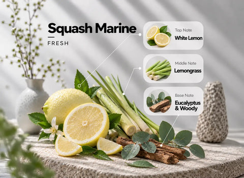 Squash Marine — Monfiora fragrance